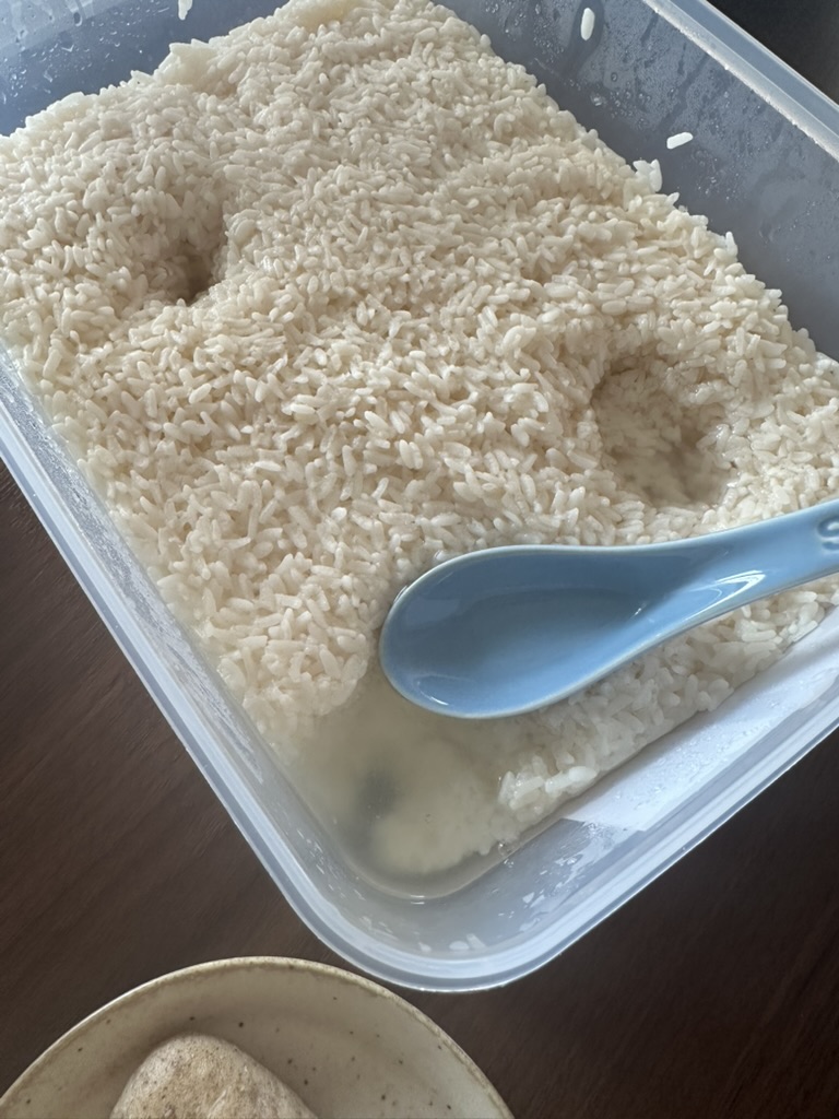 酒酿醪糟